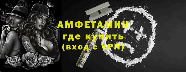 ГАЛЛЮЦИНОГЕННЫЕ ГРИБЫ Бородино